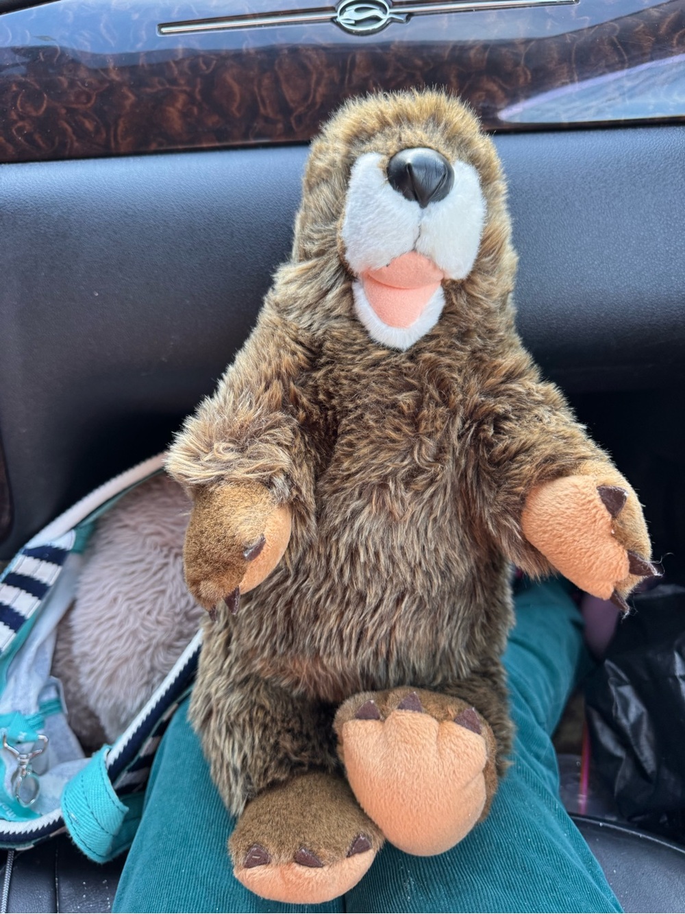 Build-A-Bear Brown and Tan Plush Groundhog